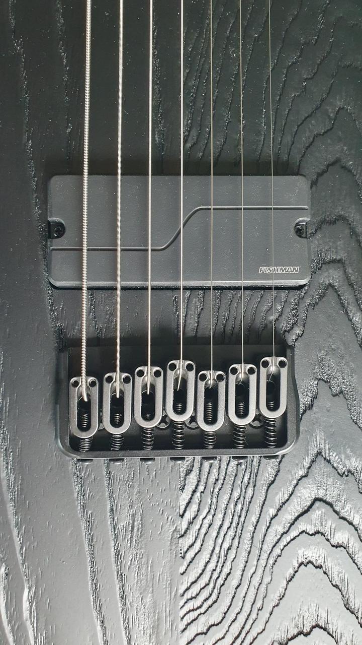Nehraná barytonová 7strunka ESP LTD TE1007B