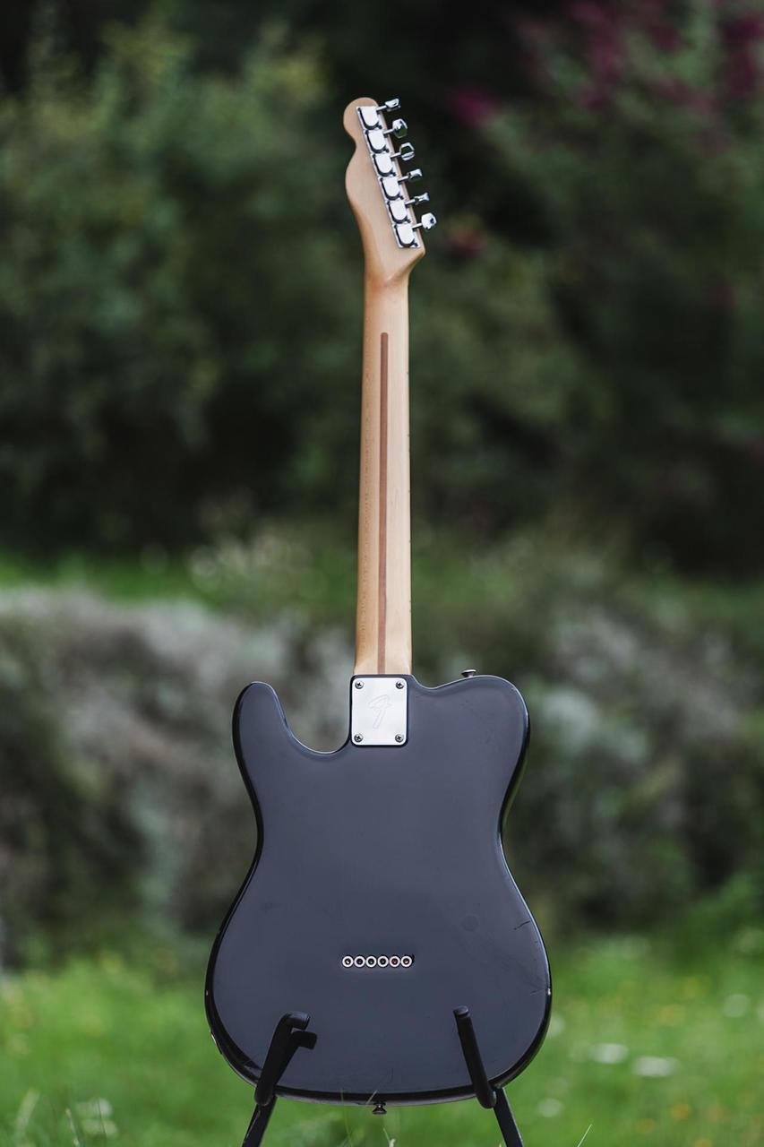 Fender Telecaster za Gibson ES-335