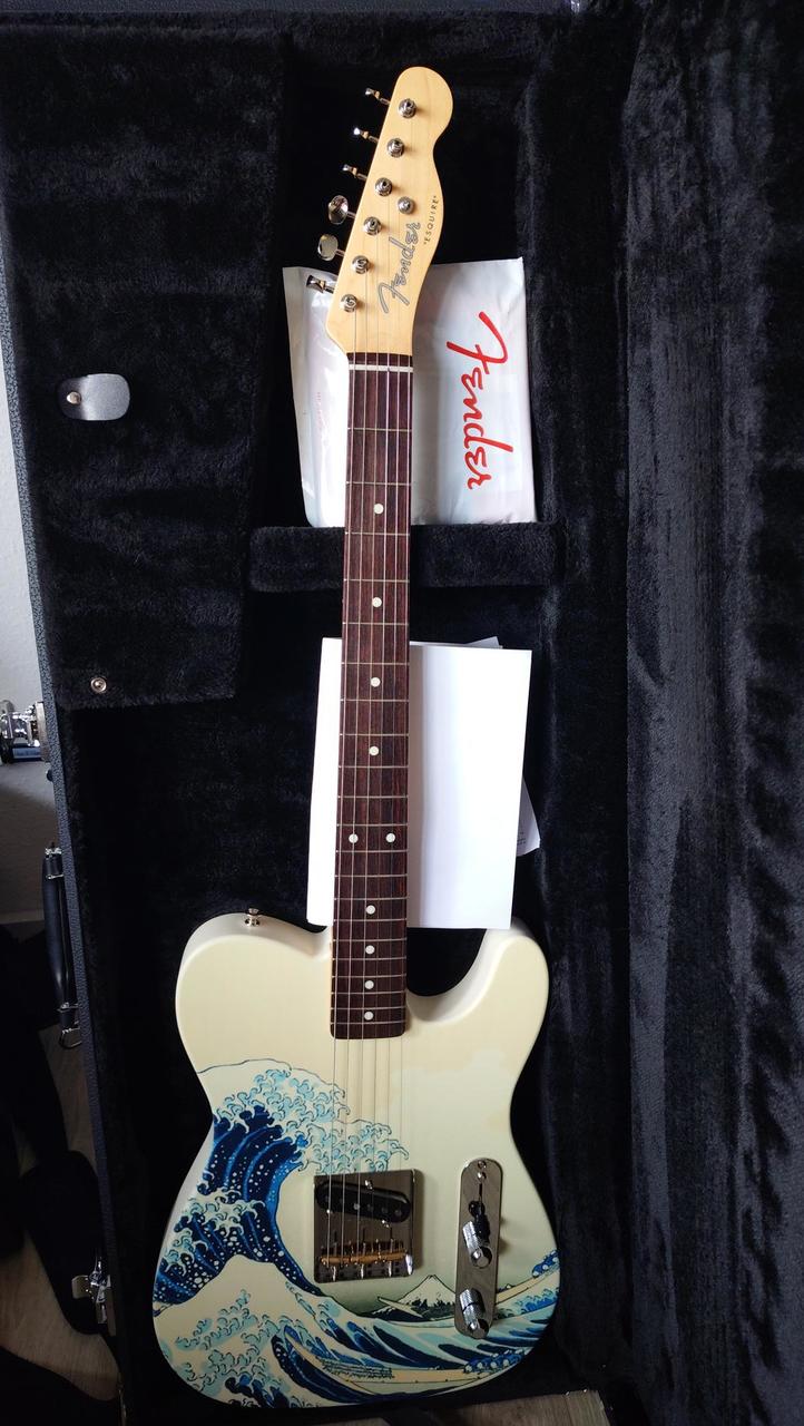 Fender MIJ Esquire Art Canvas