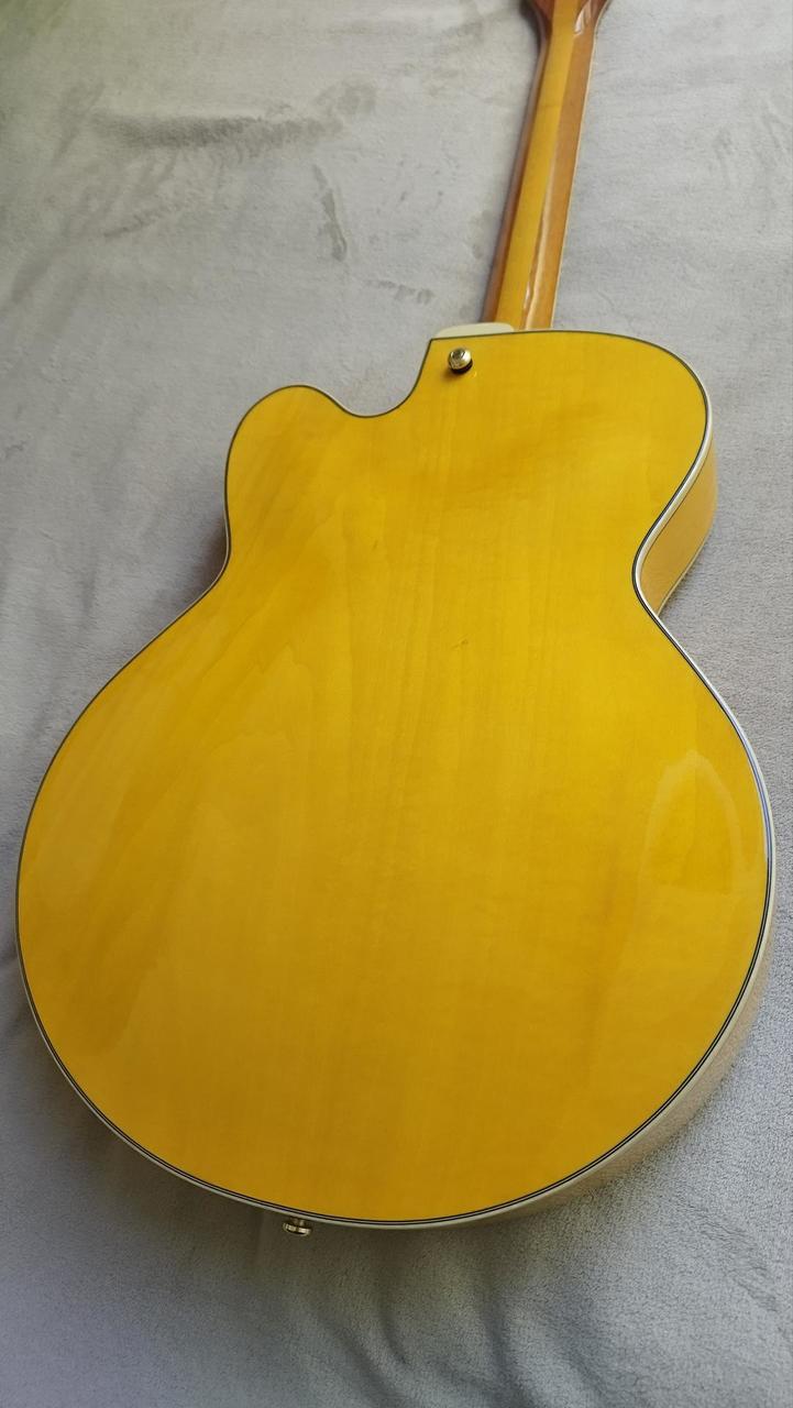Ibanez PM2AA