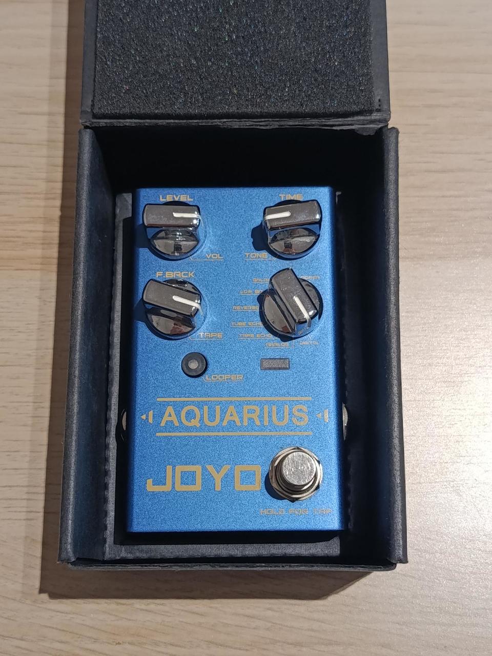 Joyo Aquarius Delay+Looper