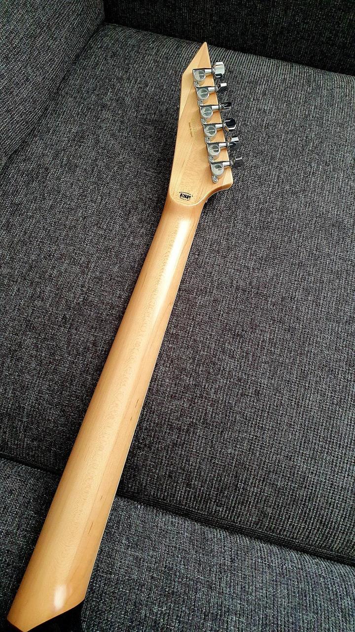 ESP Edwards Alexi Greeny