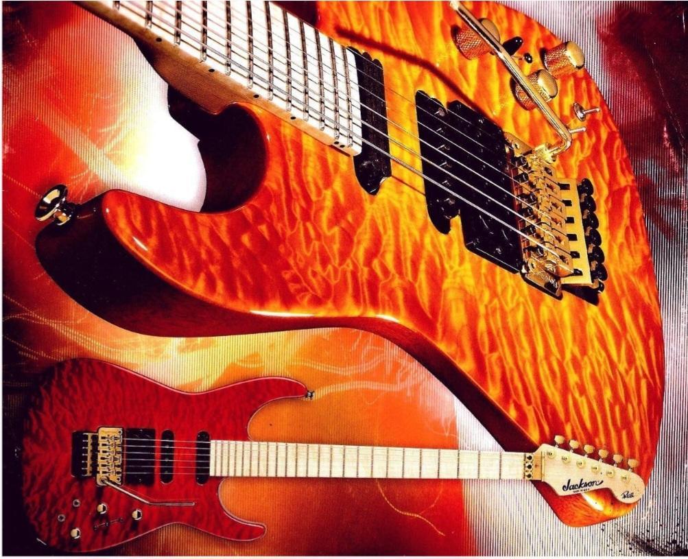 Výuka elek.kytary, akustické.kytary a basové kytary v Plzni.