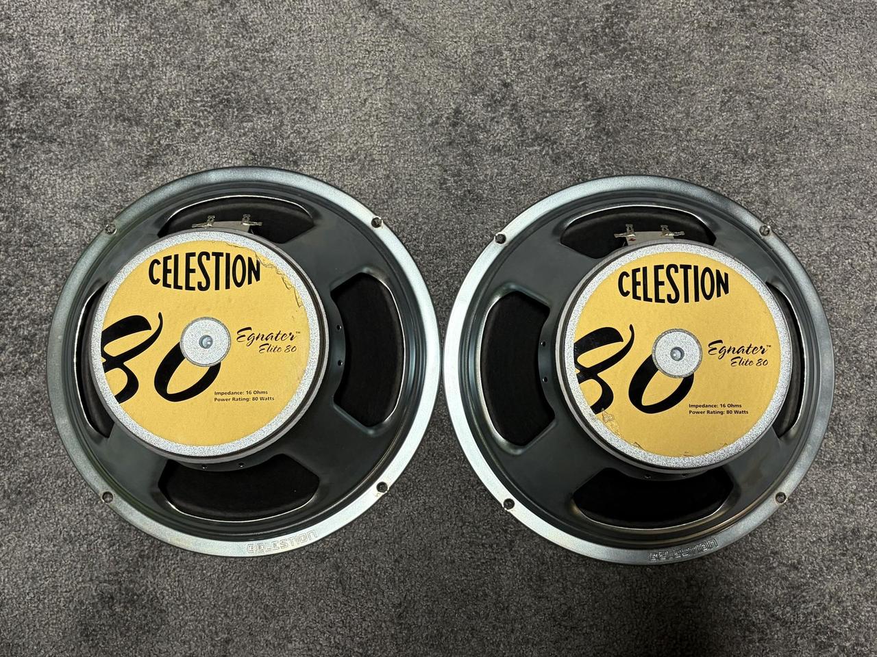 Celestion Elite 80 - 16Ohm